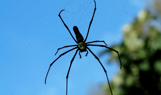 Rajathadri Hill Villa