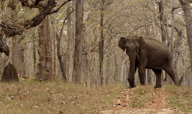 Rajathadri Hill Villa