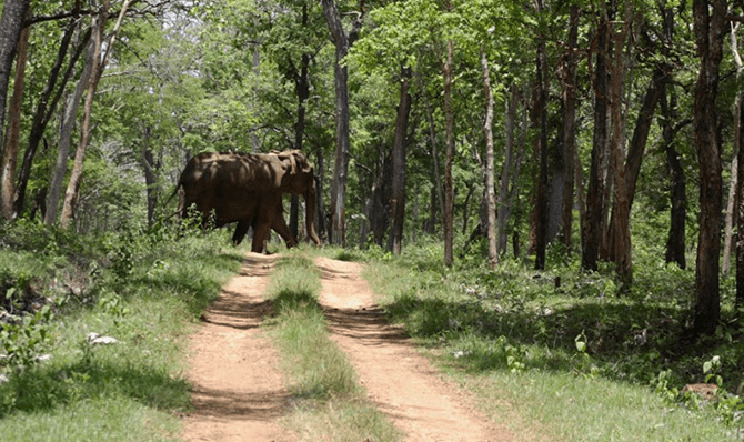 Rajathadri Hill Villa