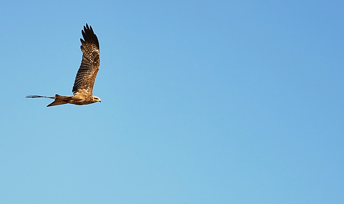 Rajathadri Hill Villa